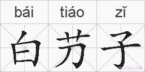 白芀子的拼音