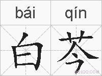 白芩的拼音