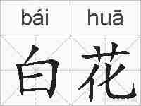 白花的拼音