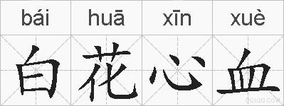白花心血的拼音