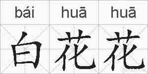 白花花的拼音