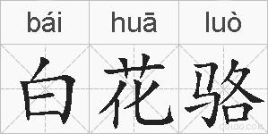 白花骆的拼音