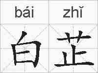 白芷的拼音
