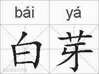 白芽的拼音