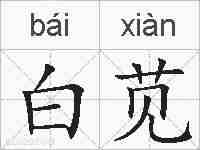 白苋的拼音
