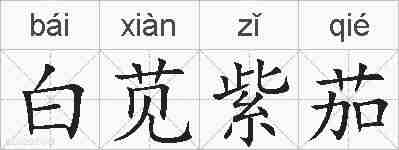 白苋紫茄的拼音