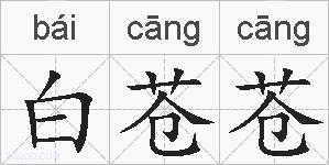 白苍苍的拼音