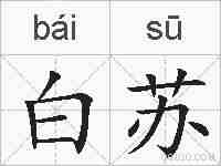 白苏的拼音