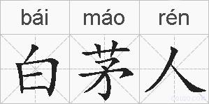 白茅人的拼音
