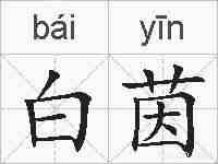 白茵的拼音