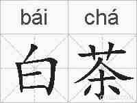 白茶的拼音
