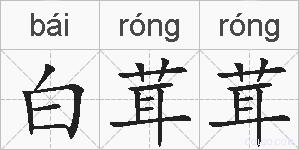 白茸茸的拼音