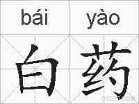 白药的拼音