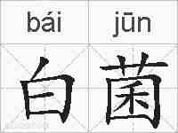 白菌的拼音