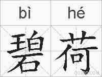 碧荷的拼音