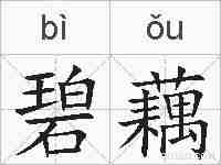 碧藕的拼音