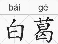白葛的拼音