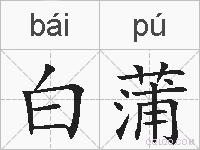 白蒲的拼音