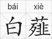 白薤的拼音