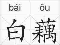 白藕的拼音