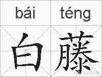 白藤的拼音