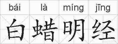 白蜡明经的拼音