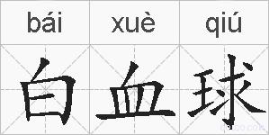 白血球的拼音