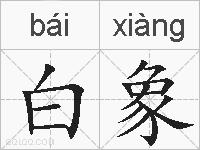 白象的拼音