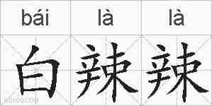 白辣辣的拼音