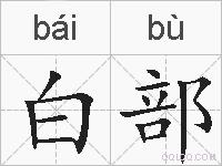 白部的拼音
