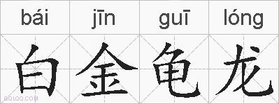 白金龟龙的拼音
