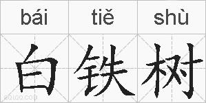 白铁树的拼音