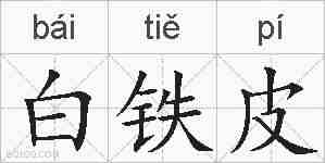 白铁皮的拼音