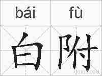 白附的拼音