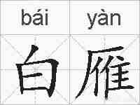 白雁的拼音