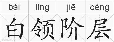 白领阶层的拼音
