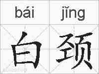 白颈的拼音