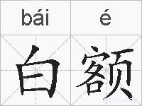 白额的拼音