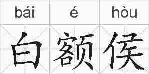 白额侯的拼音