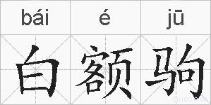 白额驹的拼音