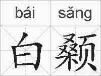 白颡的拼音