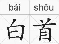 白首的拼音