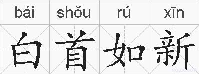 白首如新的拼音