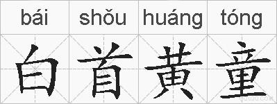 白首黄童的拼音