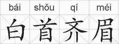 白首齐眉的拼音