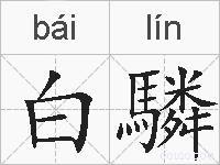 白驎的拼音