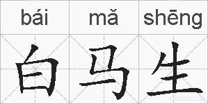 白马生的拼音