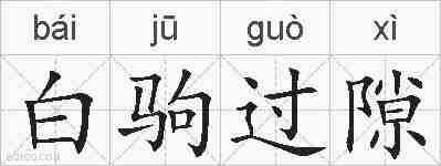 白驹过隙的拼音