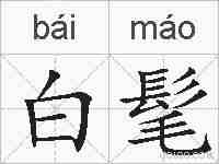 白髦的拼音