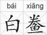 白鲞的拼音